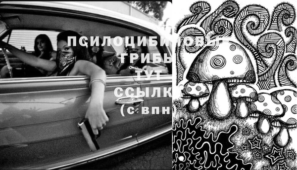 ALPHA PVP Алзамай