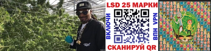 OMG рабочий сайт  Курчалой  Марки NBOMe 1500мкг 