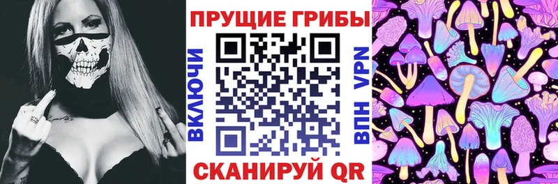 сколько стоит  Курчалой  Галлюциногенные грибы Cubensis 