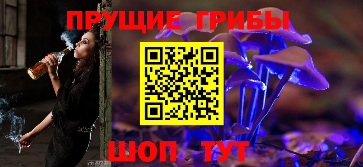 Галлюциногенные грибы Cubensis  Вход с VPN  Курчалой  Псилоцибиновые грибы ЛСД 